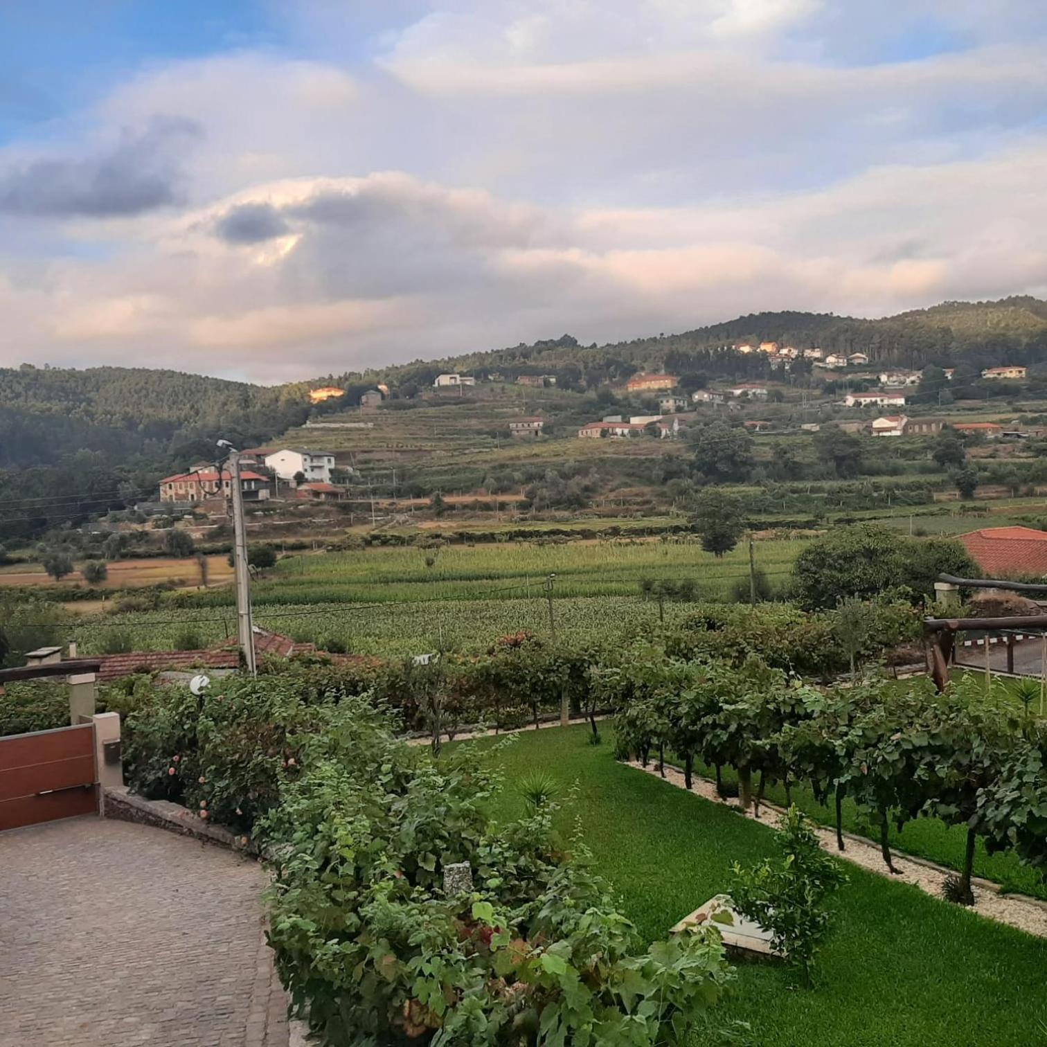 Casa da Tia Bina Villa Castelo de Paiva Bagian luar foto